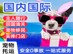 洛阳北郊航空邮寄国际宠物托运 【国